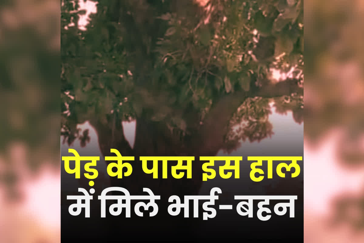 Lover Suicide News: पेड़ के पास इस हाल में मिले भाई-बहन! देखकर फटी रह गई पुलिस की आंखें, तीन दिन से थे लापता