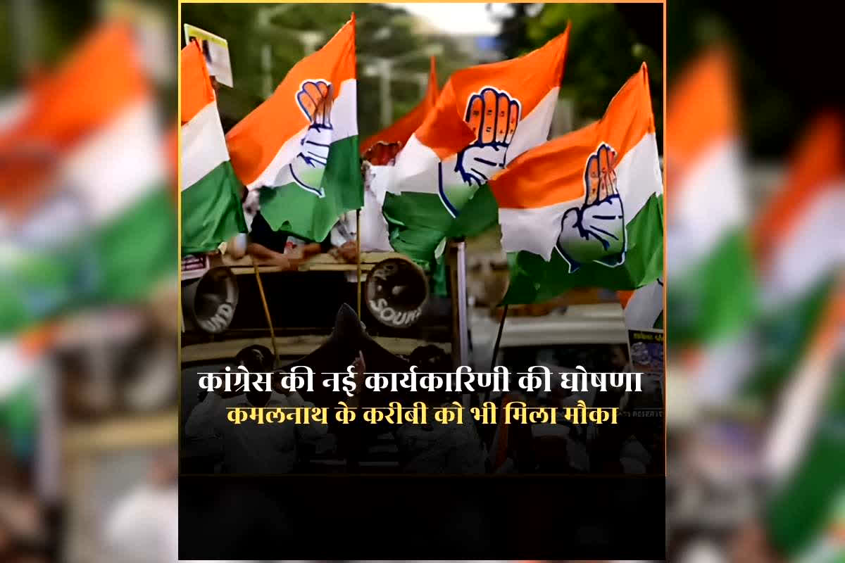 Congress Party New Team: कांग्रेस की नई कार्यकारिणी की घोषणा, इन तीन जिलों में अब नई टीम करेगी काम, राहुल गांधी ने लगाई थी फटकार