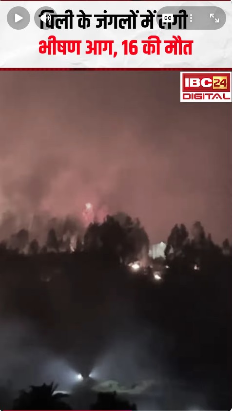 Wildfire in Chile: जंगल में भीषण आग, 18 लोगों की मौत | International News