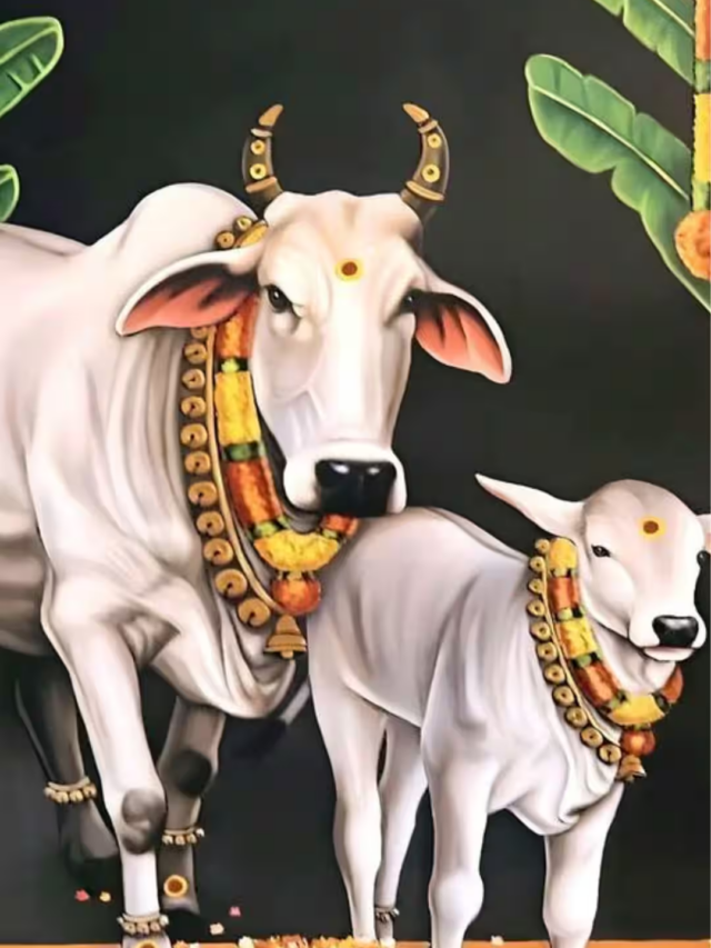 Garuda Purana: आखिर क्यों मृत्यु से पहले किया जाता है गौ दान? जानें इसके पीछे का रहस्य