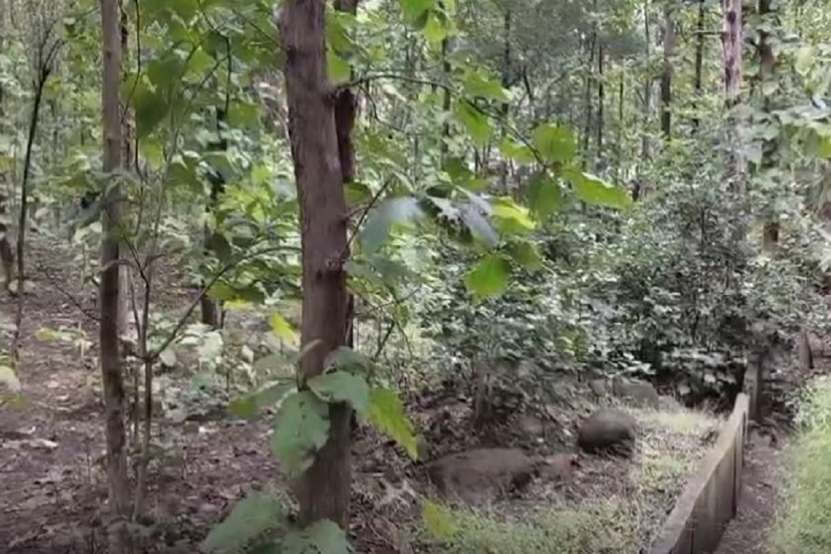 Sagar Crime News: घाटी में बदमाशों ने युवती को बनाया शिकार, खुलेआम किया ऐसा काम, मामला जानकर उड़े पुलिस के होश