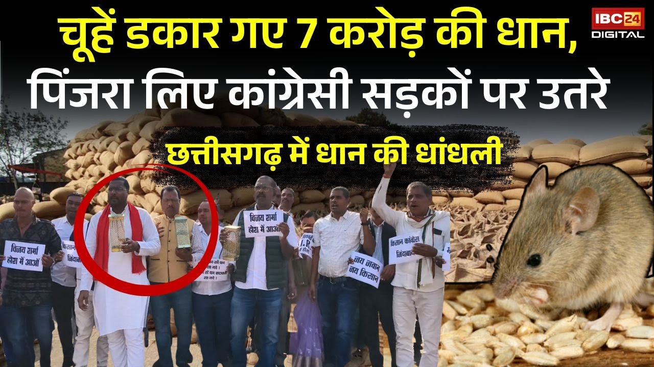 Chhattisgarh में Dhan की धांधली: चूहें डकार गए 7 करोड़ की धान, पिंजरा लिए कांग्रेसी सड़कों पर उतरे