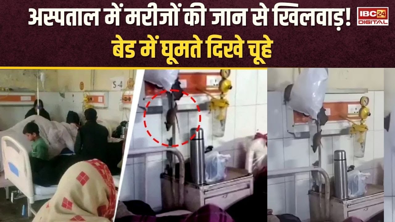 Viral Video: इलाज के बीच चूहों का आतंक, इस मेडिकल कॉलेज में मरीजों के साथ रहते हैं चूहे | Gonda