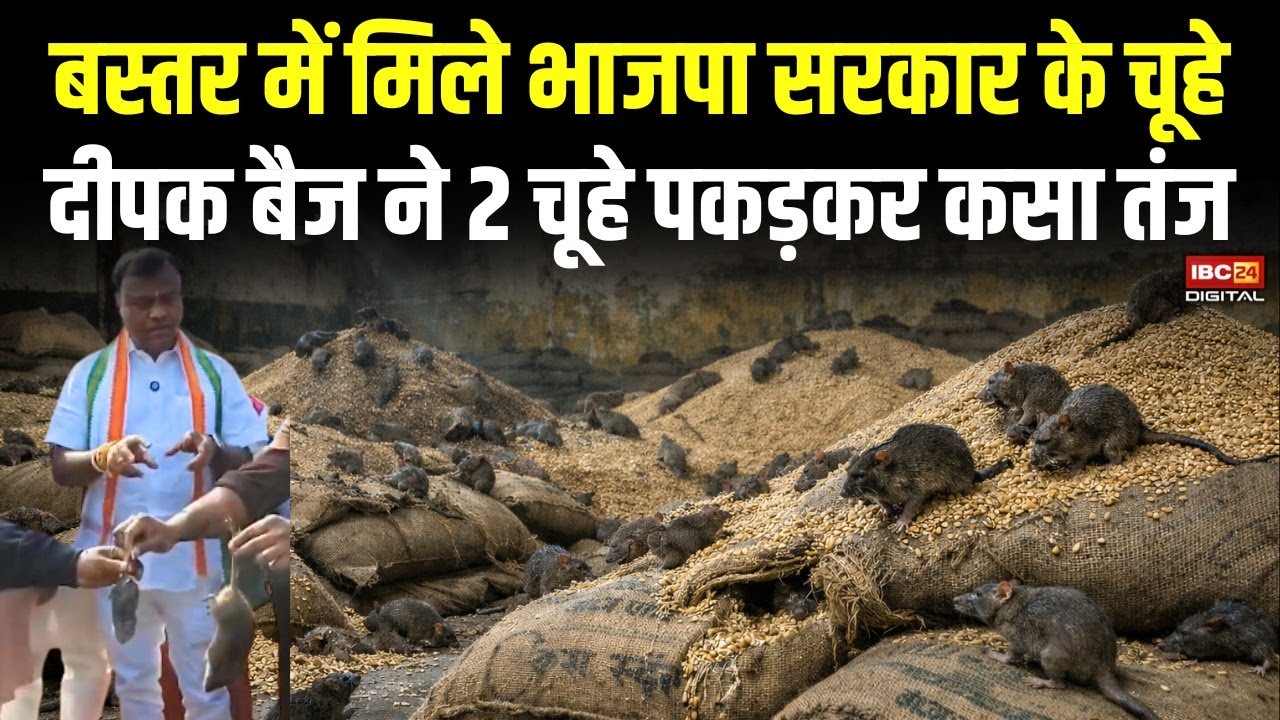 CG Dhan Kharidi : PCC चीफ दीपक बैज ने दो को पकड़ कर पूछा, इन चूहों ने कितने का धान खाया है? CG News