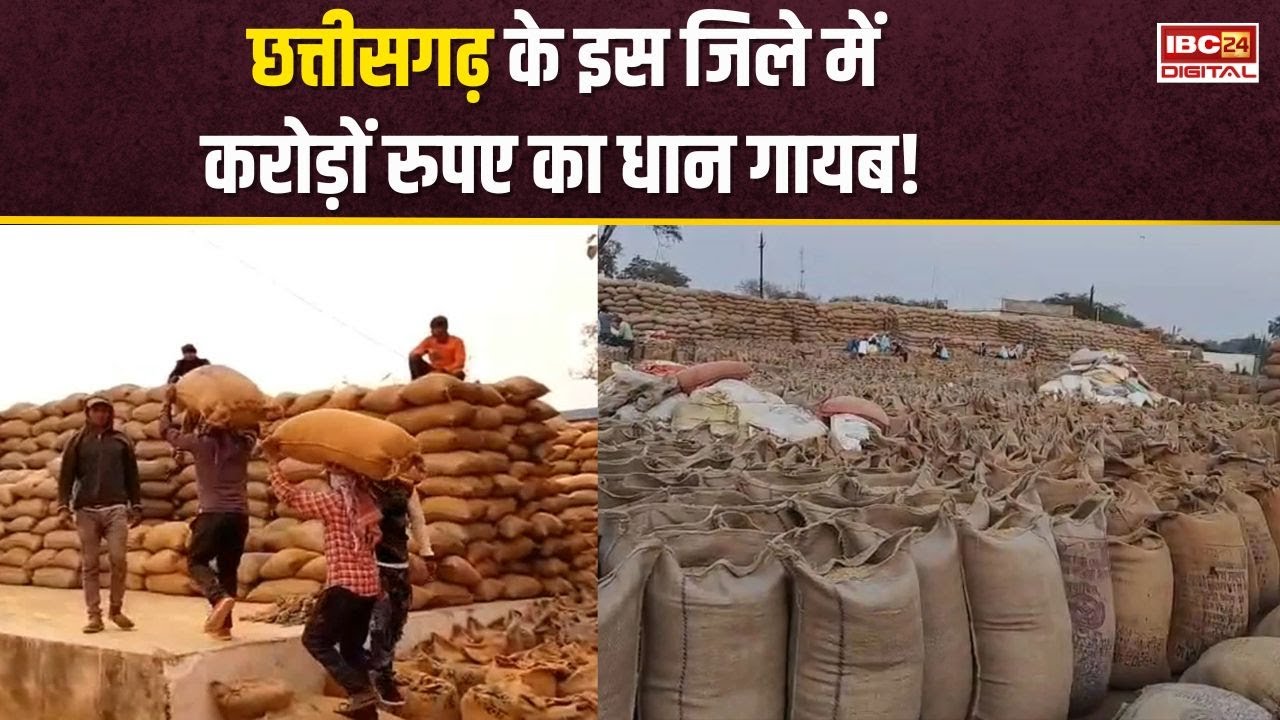 CG: 7 करोड़ की धान खा गए चूहें! 26 हजार क्विंटल धान गायब, चूहे, दीमक या बड़ा घोटाला? Kawardha News