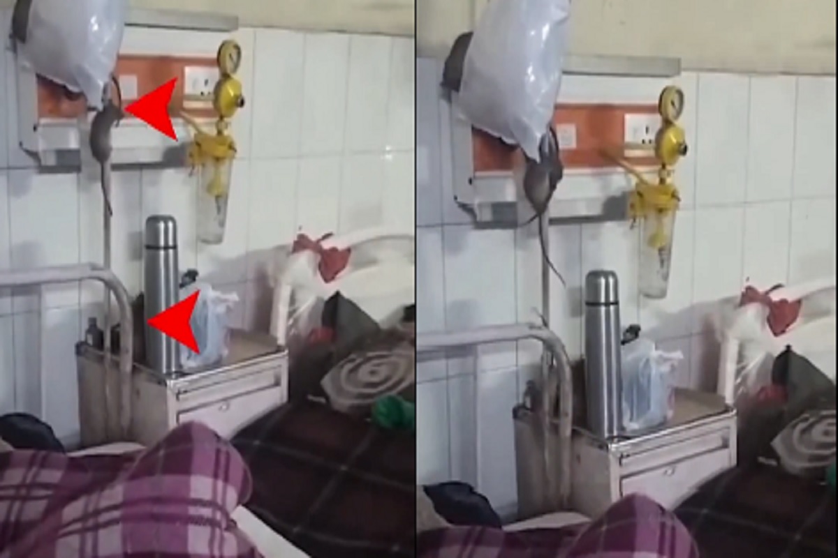 Gonda Medical College: अस्पताल में मरीजों की जान से खिलावाड़! बेड में घूमते दिखे चूहे, वीडियो वायरल होने के बाद मचा हड़कंप