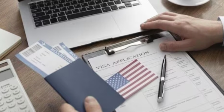 विदेश जाने के शौकीनों को बड़ा झटका! भारतीयों को नहीं मिल पा रहा वीजा, सामने आई चौंकाने वाली वजह