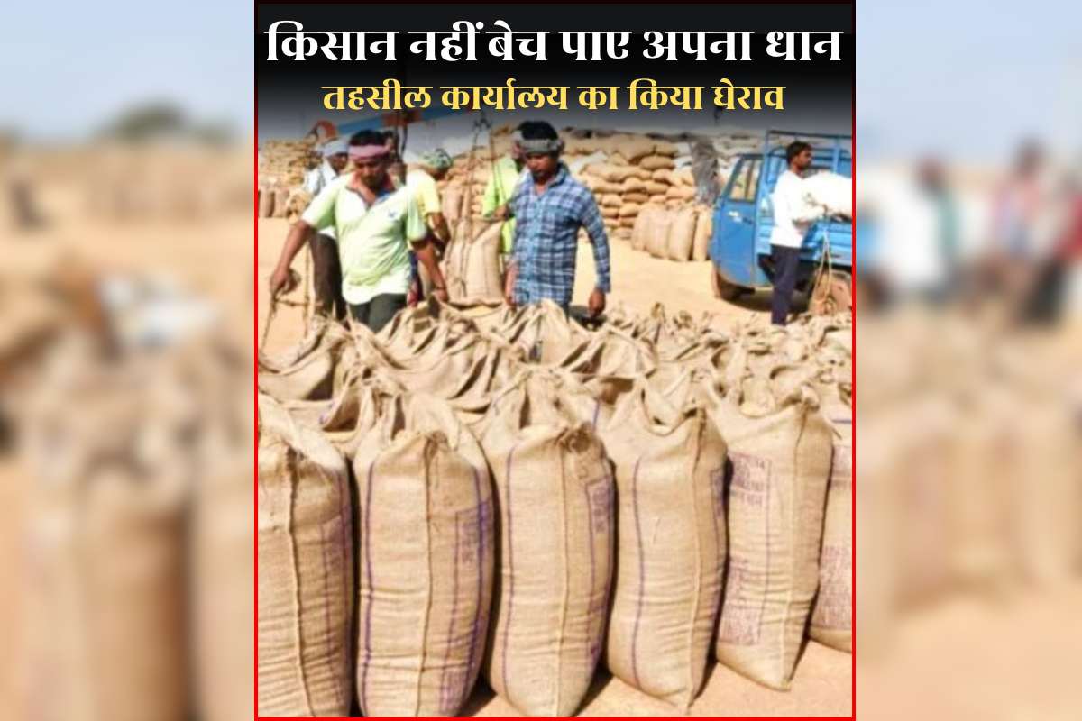 CG Dhan Kharidi News Today: धान खरीदी को लेकर किसानों ने खोला मोर्चा, तहसील कार्यालय पहुंचकर दी हड़ताल की चेतावनी, जानिए कितने अन्नदाता अब तक नहीं बेच पाए अपना धान