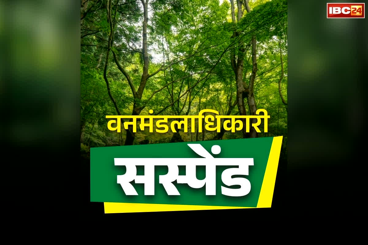 Chhattisgarh DFO Suspend News: छत्तीसगढ़ में वनमंडल के DFO सस्पेंड.. इस वन अधिकारी को मिली कमान, जानें क्यों लिया गया फैसला