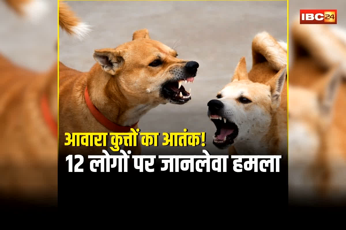 Gwalior Stray Dog Attack: आवारा कुत्तों ने 12 लोगों पर किया जानलेवा हमला, पकड़ने पहुंची निगम की टीम तो डॉग लवर्स ने किया ये काम, जानकर उड़ जाएंगे होश