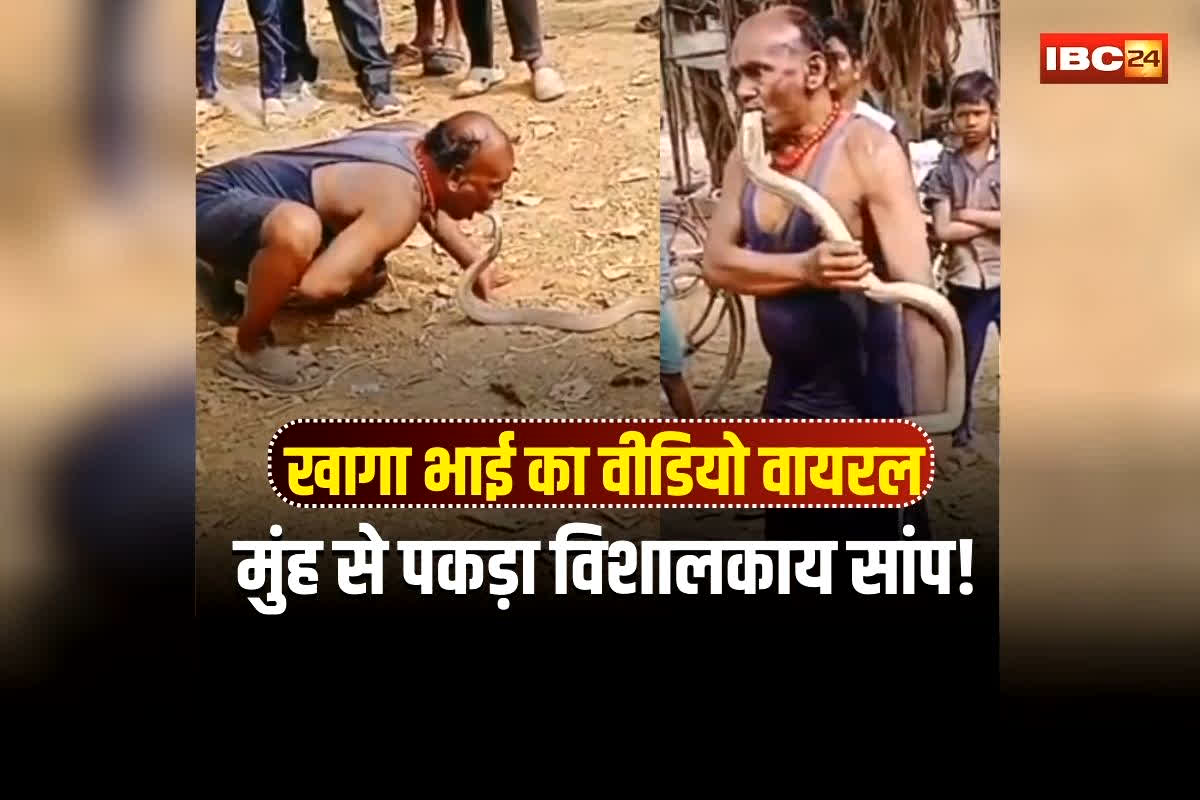 Snake Catch Viral Video: हाथ नहीं, मुंह से विशालकाय सांप पकड़ लेता है ये शख्स, खागा भाई का वीडियो देख उड़ जाएंगे होश