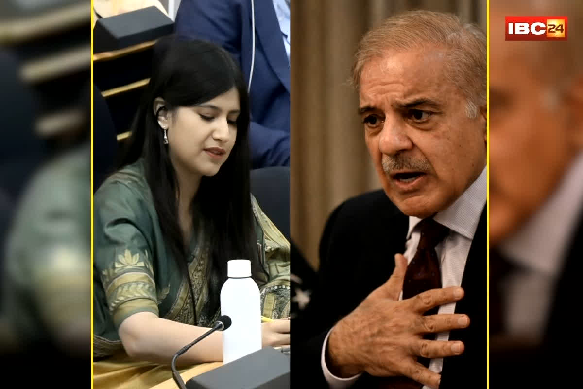 UN Human Rights Council Meeting: ‘हमारा कश्मीर का बजट, तुम्हारी IMF से मिले भीख से ज्यादा…’, भारत की बेटी ने UN में पाकिस्तान की निकाल दी हेकड़ी, देखें वीडियो