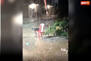 Weather Update News: ये क्या हुआ..? अचानक बदला मौसम का मिजाज..! बढ़ती गर्मी के बीच हुई ओलावृष्टि, किसान इस वजह से परेशान