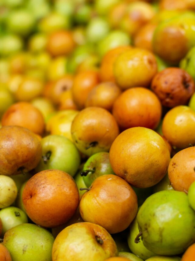 Jujube Fruit Ber: शिवरात्रि पर बेर चढ़ाना है शुभ, लेकिन ये 6 न्यूट्रिएंट्स आपको हैरान कर देंगे!