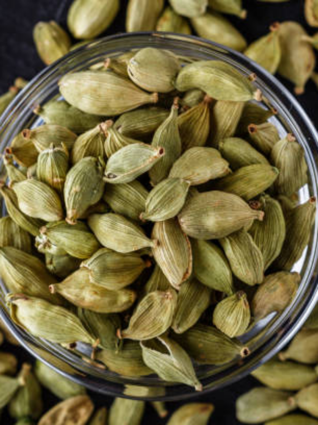 Elaichi Khane Ke Fayde: खाने के बाद इलायची चबाने से क्या होता है? जानें फायदें