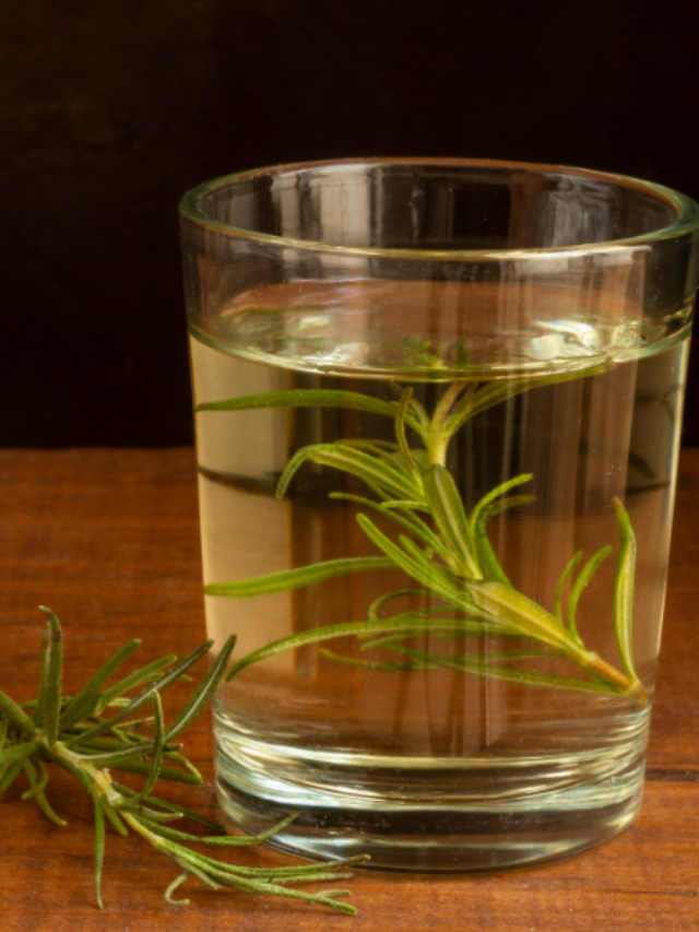Fennel Water Benefits: सौंफ का पानी पीते ही शरीर से निकलेंगे जहर और फैट, 7 दिन में महसूस करें बदलाव! जानिए 5 बड़े फायदे