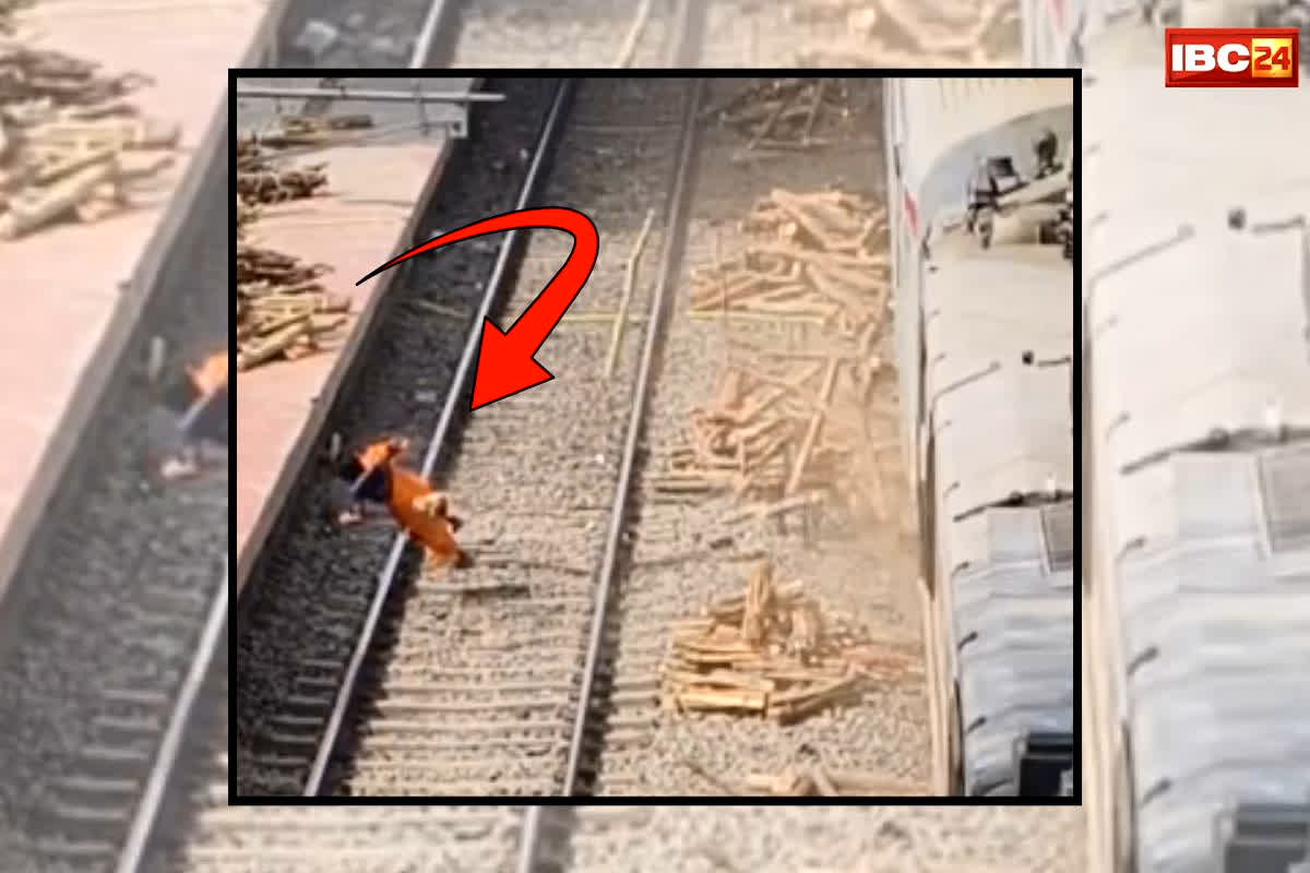 Paharpur Railway Station Viral Video: रेलव ट्रैक पार कर रही थी महिला, अचानक तेज रफ्तार ट्रेन आई, और…! उठने की हालत में भी नहीं रही घायल, वीडियो देखकर कांप जाएंगे आप!