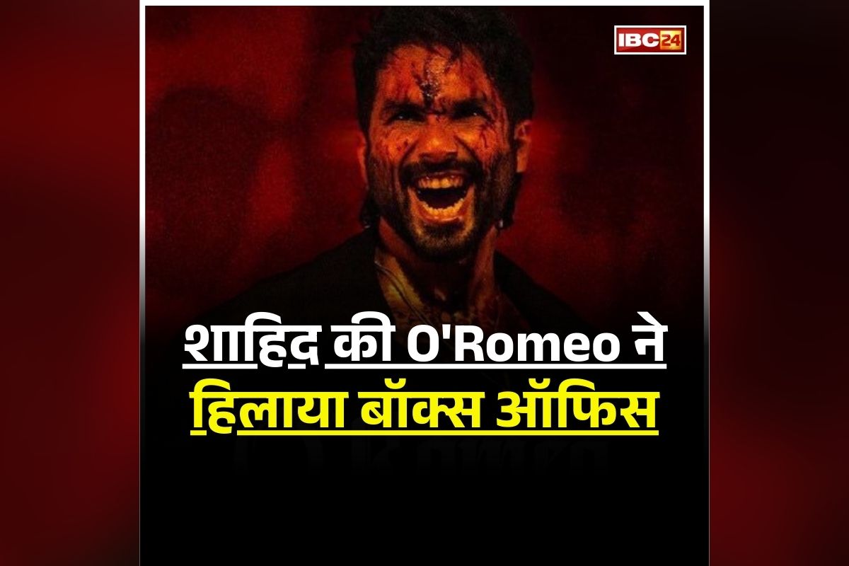 O Romeo Box Office Collection: शाहिद की O’Romeo ने संडे को हिलाया बॉक्स ऑफिस, की इतने करोड़ रुपए की कमाई, IND vs SA T20 मैच का फिल्म के कलेक्शन पर नहीं पड़ा असर