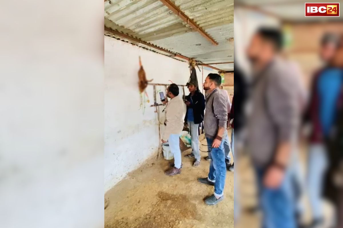 Tikamgarh News: गाय मालिक ने बछड़े का सिर काटकर लटकाया गौशाला में, बजरंग दल के हंगामे के बाद सामने आई चौंकाने वाली वजह, जानकर आप भी हो जाएंगे हैरान