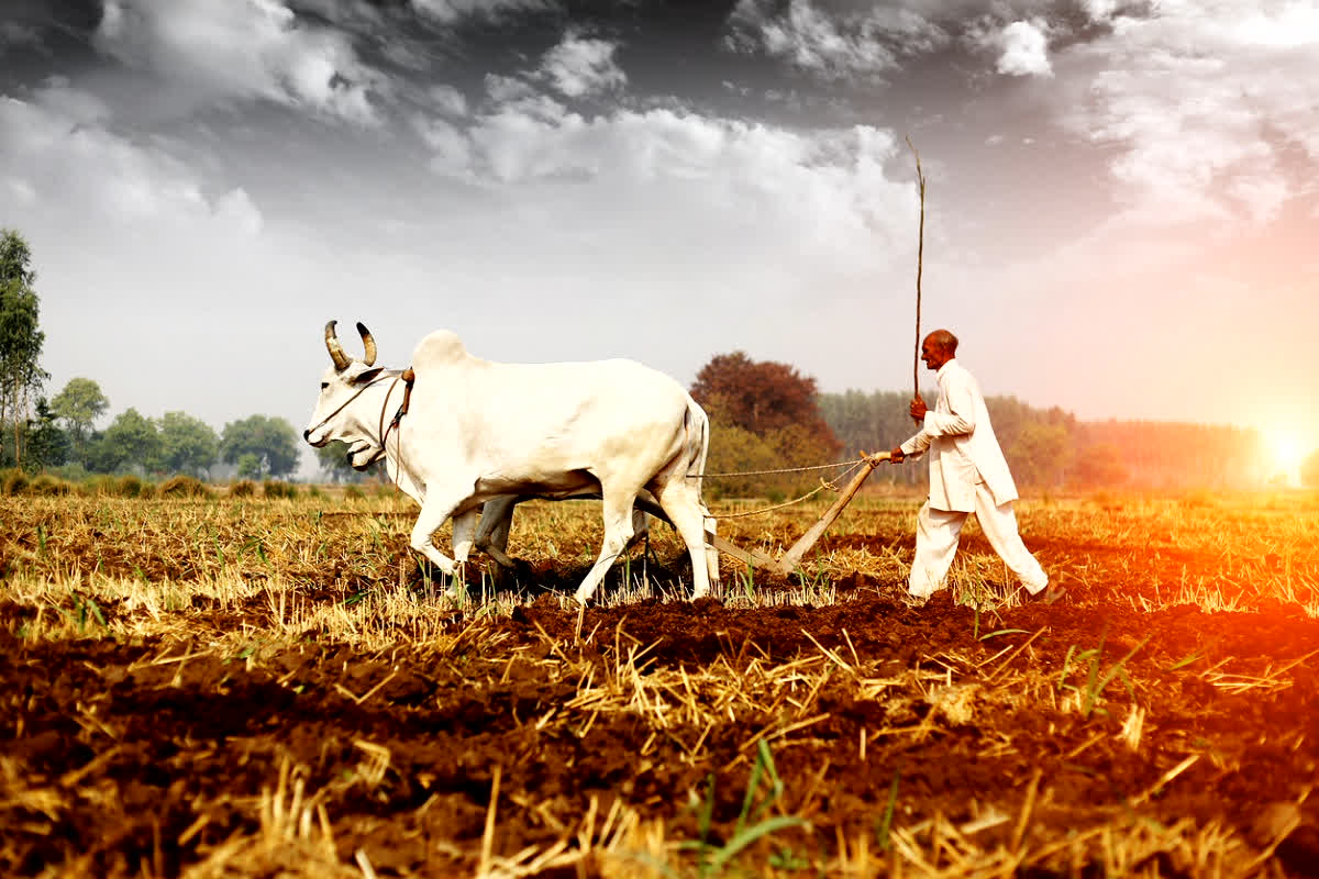 India USA Trade Deal 2026: खुश हो जाइए किसान भाइयों..! ट्रेड डील में भारत ने कृषि-डेयरी सेक्टर पर लगाया मजबूत पहरा, इन चीजों में अमेरिका को नहीं दी जरा भी ढील, देखें पूरी लिस्ट