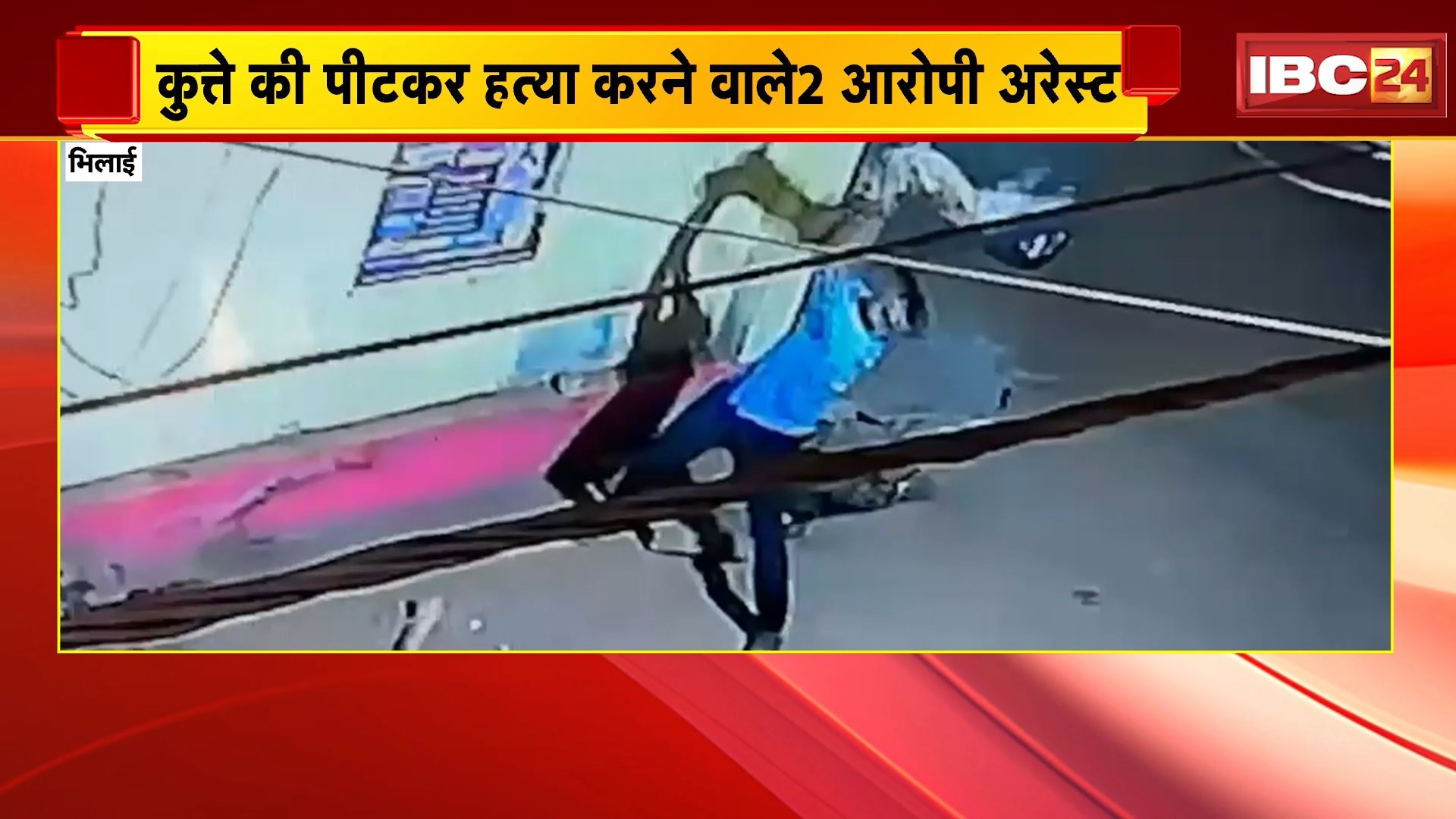 Bhilai Crime News: 2 बदमाशों ने कुत्ते को पीट-पीटकर मार डाला, CCTV में कैद हुआ क्रूर वारदात