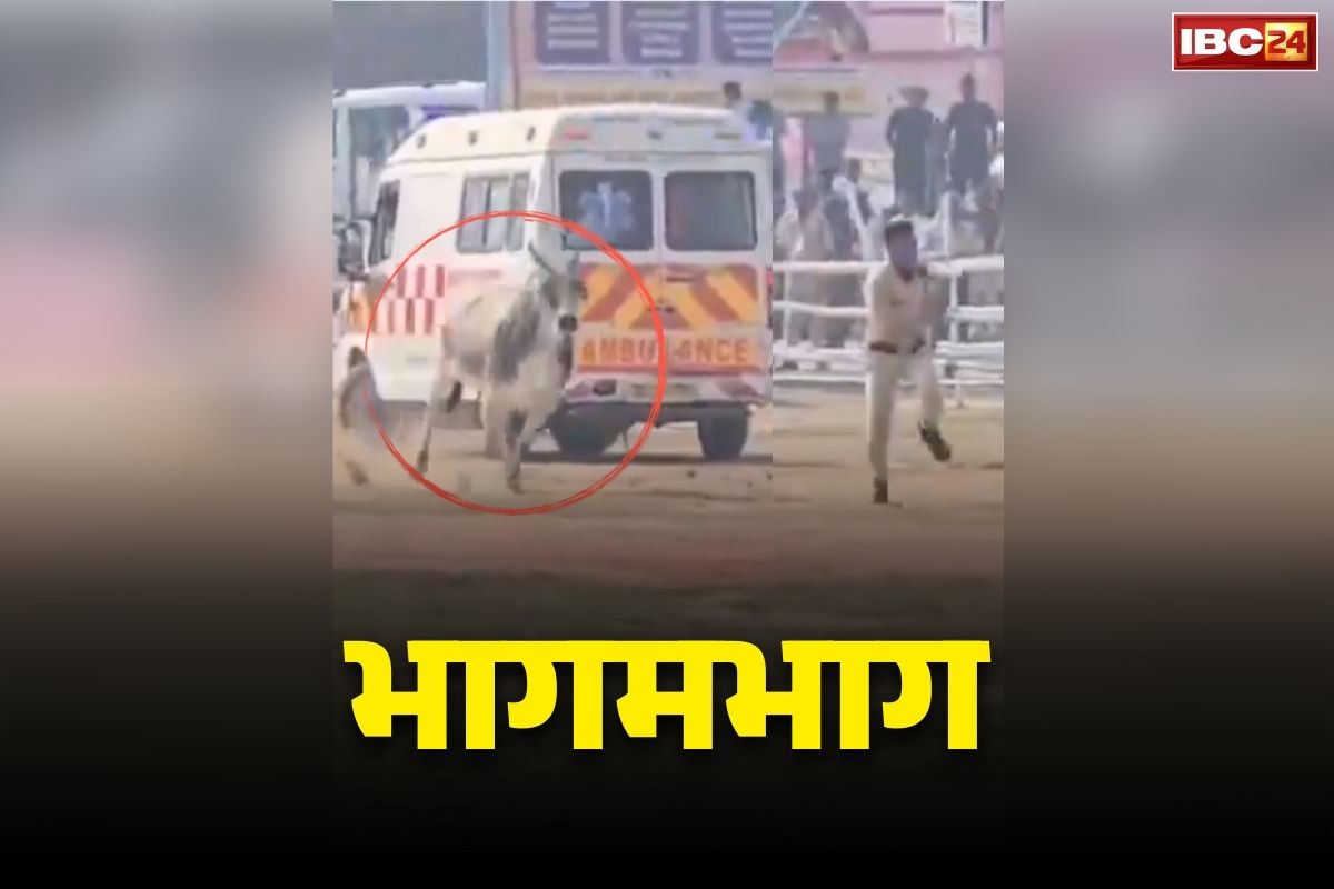 Bihar Police Viral Video: सांड और पुलिस के बीच ‘भागमभाग’.. CM के हेलीपेड में सामने आया गजब का नजारा, देखें कानून के रखवालों ने कैसे बचाई अपनी जान