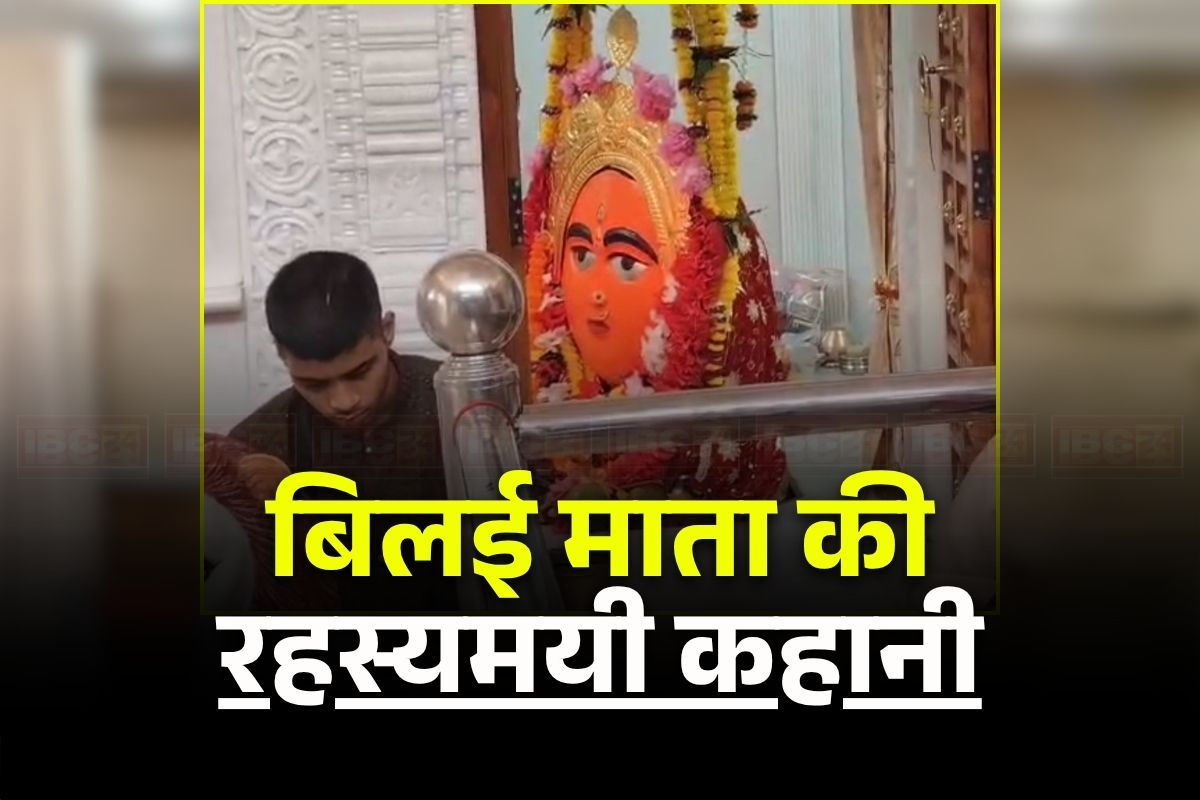Bilai Mata Temple Dhamtari: जंगल में पड़े पत्थर को देखकर चौंक पड़े थे कांकेर के राजा, काली बिल्लियों की वजह से मिला माता को नया नाम, जानिए धमतरी के बिलई माता की कहानी