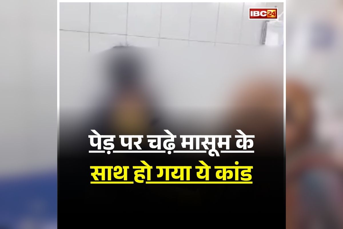 Bulandshahr News: पेड़ पर चढ़ा था 9 साल का मासूम, नीचे गिरते ही हो गया ये कांड, वीडियो देखकर दहल जाएगा आपका दिल