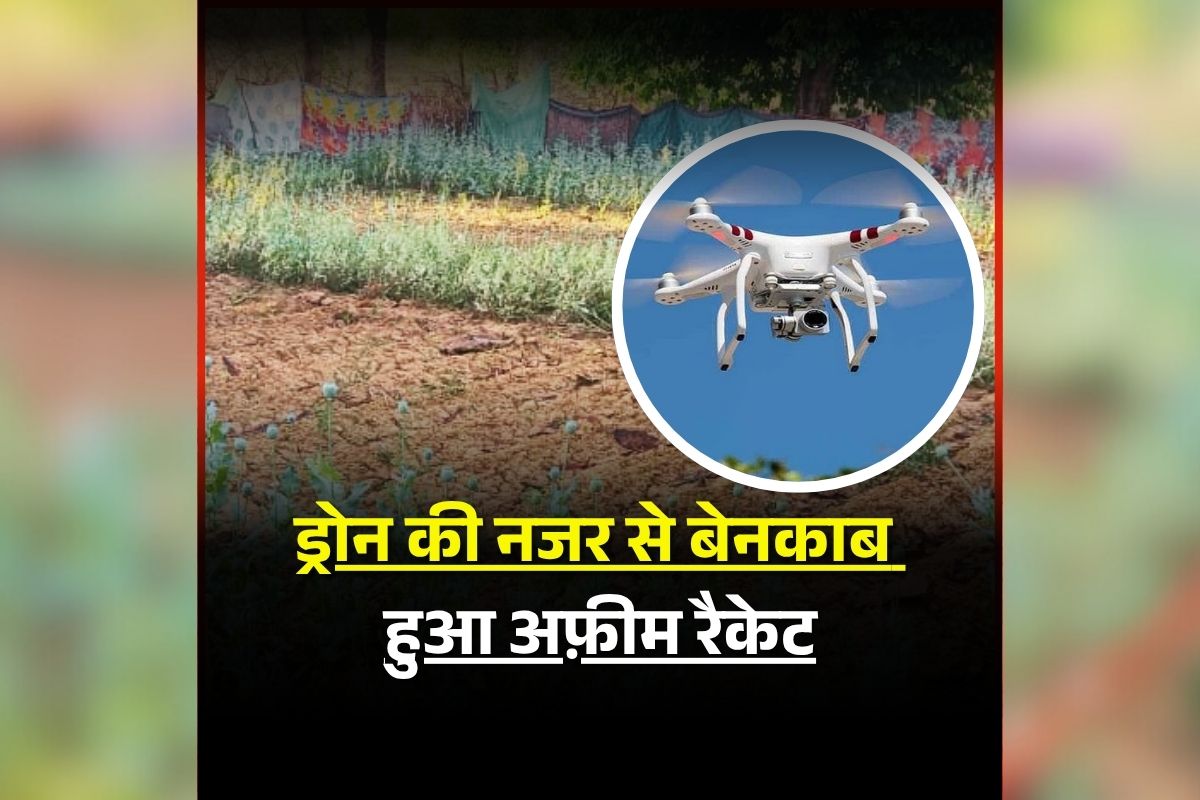 CG Afeem Kheti Update News: डेढ़ एकड़ खेत में लहलहा रही थी अफीम की फसल, प्रशासन ने इस तरीके से किया भंडाफोड़, दो लोगों को किया गिरफ्तार