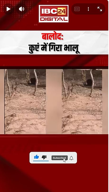 Balod News: बालोद में कुएं में गिरा भालू , पानी की तलाश में गांव पहुंचा था, वन विभाग ने ऐसे किया रेस्क्यू!