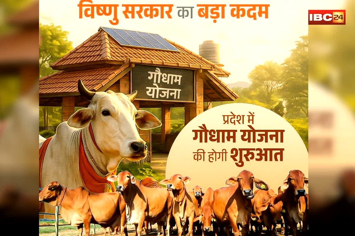 Chhattisgarh Gaudham Yojana: गोधन की सुध लेने साय सरकार कल से शुरू करने जा रही ‘गौधाम योजना’, करोड़ों रुपए का बजट तैयार