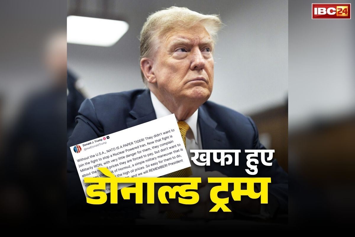 Donald Trump Againts NATO: ‘अमेरिका के बिना NATO सिर्फ कागज़ का शेर’.. आखिर क्यों खफा है राष्ट्रपति ट्रम्प और किसे कहा ‘कायर?’..