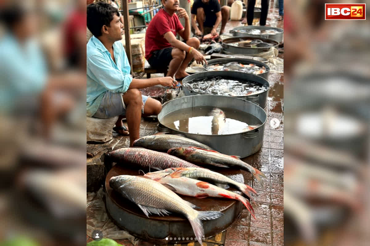 Himachal Pradesh Budget Key Points: मछलियों के खरीद के लिए समर्थन मूल्य का ऐलान.. किसानों से 10 रुपये ज्यादा में होगी दूध की खरीद, जानें और भी फैसले