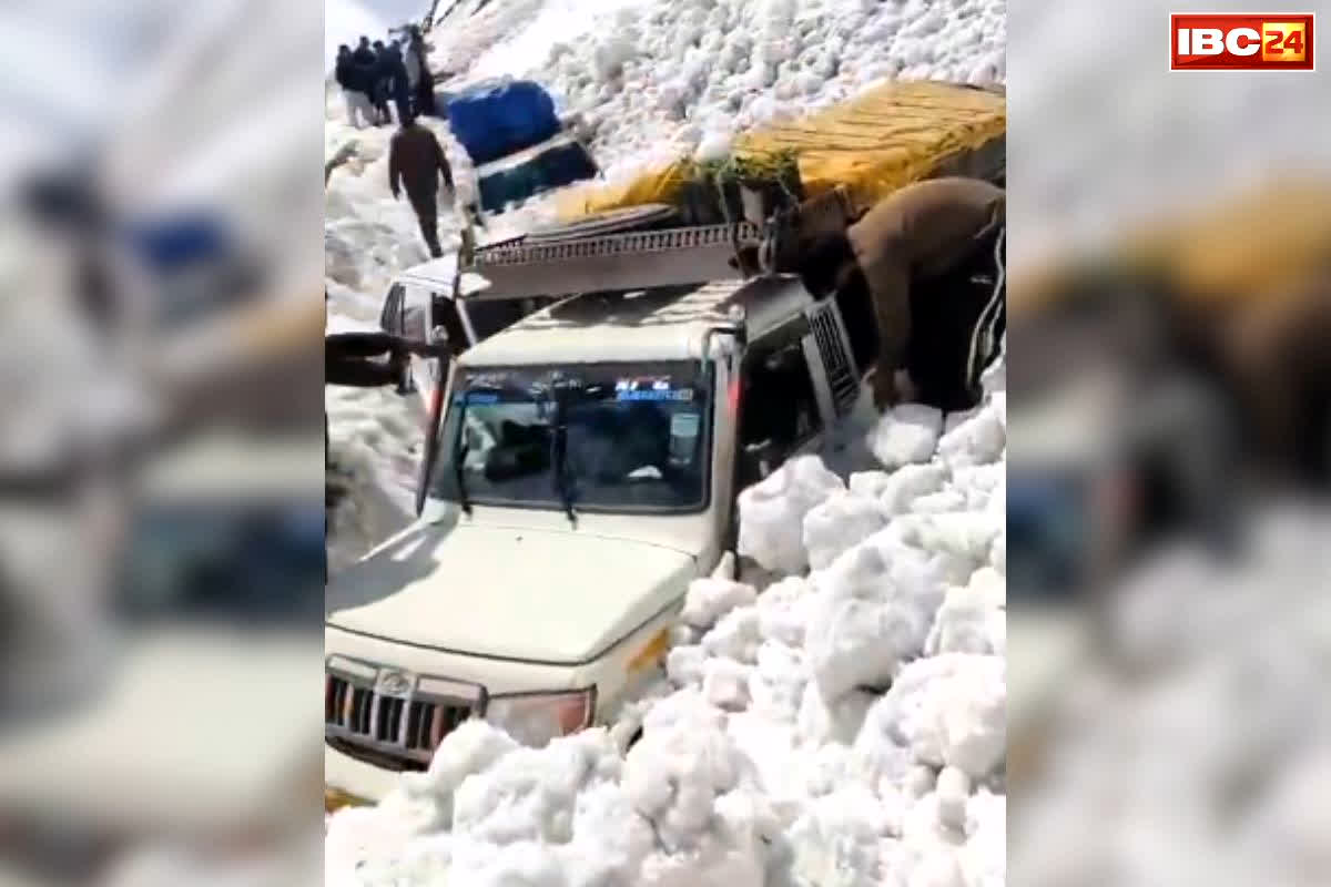 Ladakh Today Avalanche News: यहां भयानक हादसा.. हिमस्खलन के बाद बर्फ के नीचे दबे दर्जनों वाहन, जानें कितने लोगों ने गंवाई जान