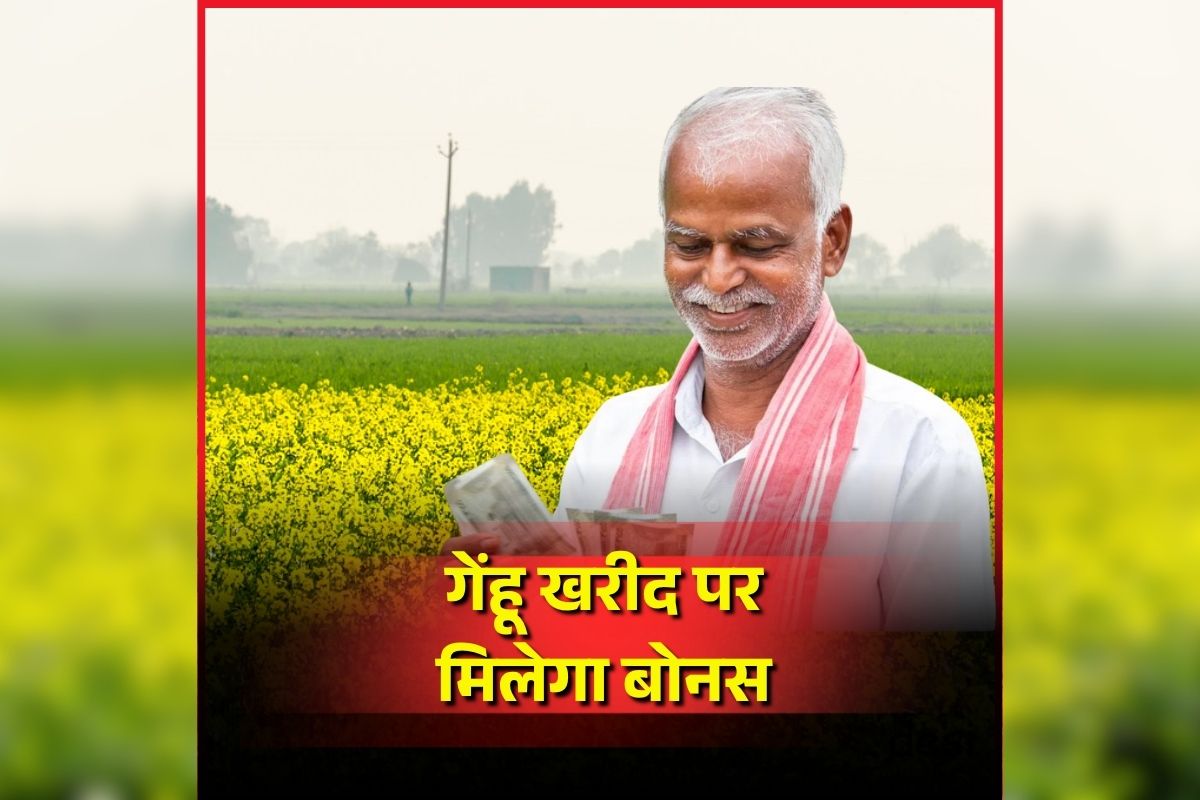 MP Gehu Bonus News: किसानों के लिए खुशखबरी, सरकार ने बढ़ाई गेहूं खरीदी की तारीख, हर क्विटल पर मिलेगा इतने रुपए का बोनस