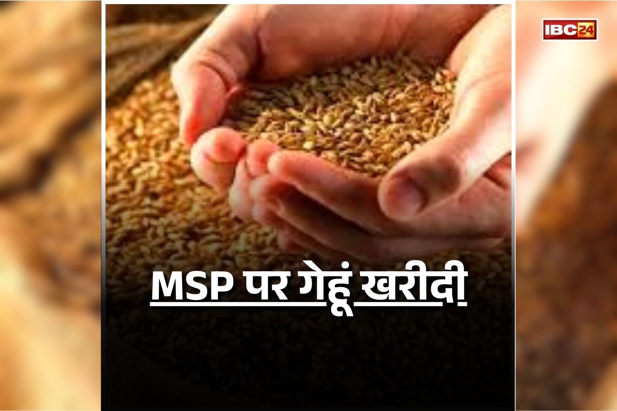 MP Gehu Kharidi 2026: किसानों के लिए बड़ी खबर! इस दिन से शुरू होगी गेंहू की खरीदी, खुद सरकार ने किया ऐलान