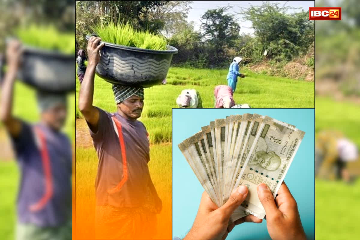 PM Kisan 22nd Installment Date : उत्तर प्रदेश के किसानों की बल्ले-बल्ले! कल खाते में आएगी किसान सम्मान निधि की 22वीं किस्त, खातों में पहुंचेंगे इतने करोड़ रुपए