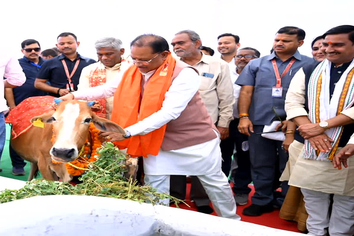 Surabhi Gaudham Chhattisgarh : बदलेगा गौसेवा का स्वरूप! न्यायधानी से CM विष्णुदेव साय ने किया ‘सुरभि गौधाम’ का आगाज, अब हर गौशाला को मिलेगी ये नई पहचान