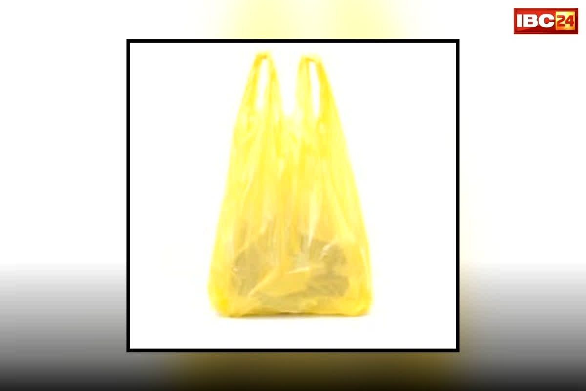 Balenciaga Trash Pouch: 50 पैसे का पॉलिथीन हो गया 1.5 लाख रुपए का, मशहूर एक्ट्रेस ने हाथ में लेकर किया ये काम, फिर आसमान छूने लगा दाम