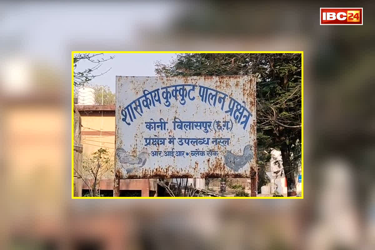 Bilaspur News: छत्तीसगढ़ वासी हो जाए सावधान!… कहीं आप भी इस पोल्ट्री फार्म से तो नहीं मंगाते चिकन, पड़ जाएंगे लेने के देने, जानें क्या है मामला