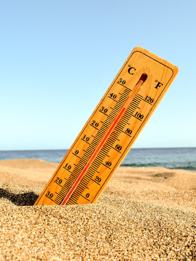 Hydration Tips in Summer: गर्मी में शरीर हो रहा है जल्दी डिहाइड्रेट? जानिए हाइड्रेट रहने के 5 ऐसे आसान तरीके जो डॉक्टर भी बताते हैं