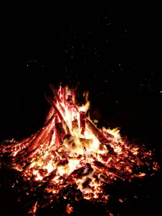 Holika Vastu Tips: होली के बाद Holika की राख से करें ये खास उपाय, चमक उठेगी आपकी किस्मत!