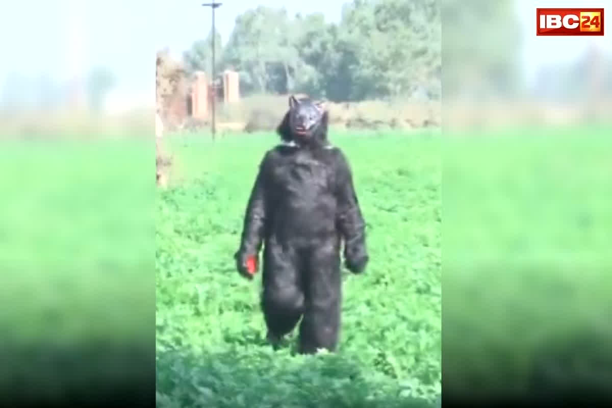 Firozpur Kisan Bear Costume: खेत में अचानक घूमता दिखा ‘अजीब सा जानवर’, पास जाकर देखा तो पता चला कुछ ऐसा… उड़ गए सबके होश