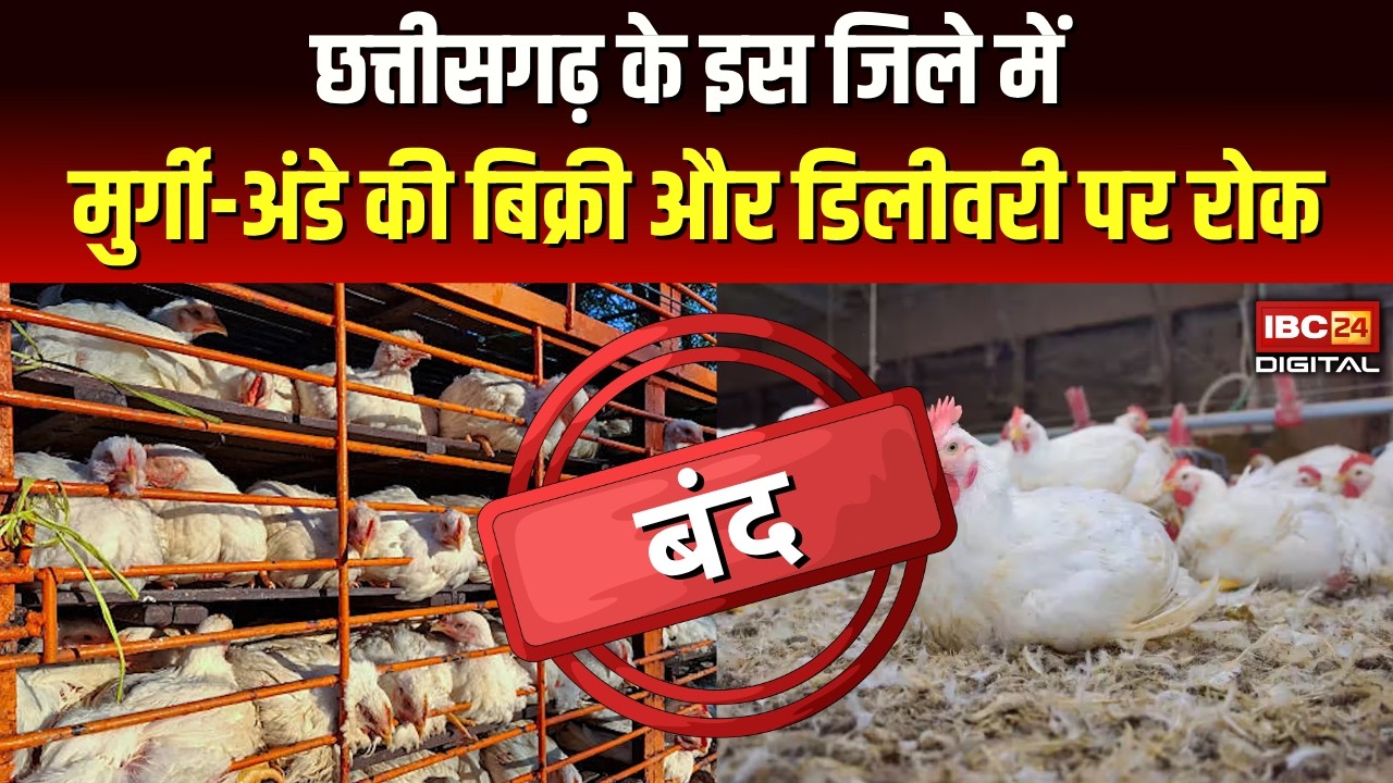 Chhattisgarh के इस जिले में अब मुर्गी-अंडे की बिक्री और डिलीवरी पर रोक | Bird Flu | IBC24 Digital