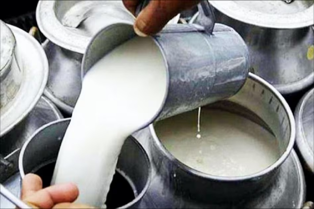 Andhra Pradesh Milk Tragedy: सफेद जहर का तांडव! दूध पीते ही बिगड़ी तबीयत, 12 लोगों की मौत, कई अस्पताल में भर्ती, मचा हड़कंप