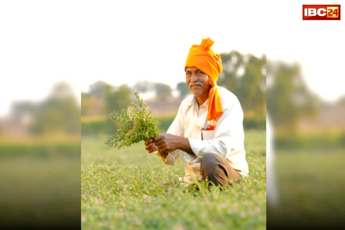 PM Kisan Yojana Ki Kist Kab Aegi: अगले हफ्ते इस तारीख को जारी की जाएगी पीएम किसान योजना की राशि..! पीएम मोदी के दौरे के दौरान किसान भाइयों को मिलेगी राहत