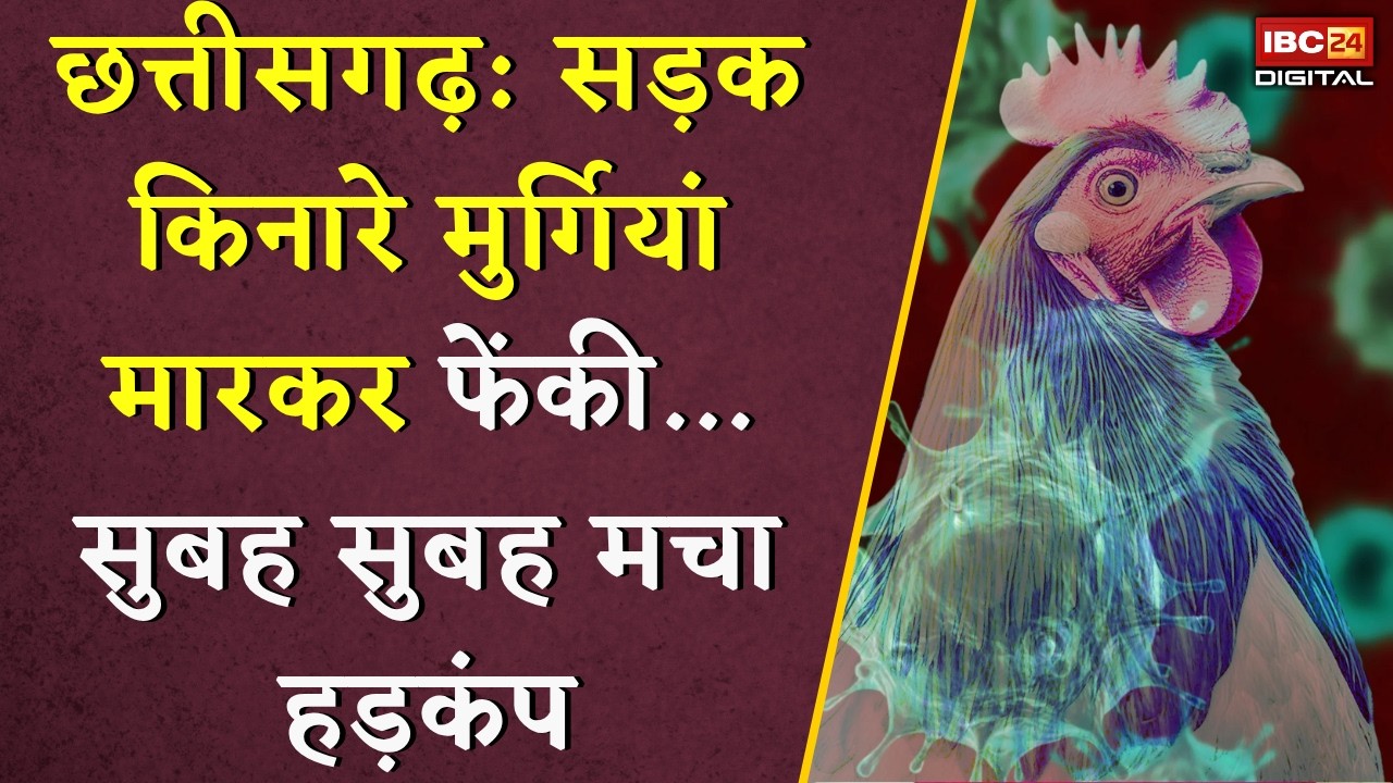 Bilaspur Bird Flu: सड़क किनारे मुर्गियां मारकर फेंकी… सुबह सुबह मचा हड़कंप |