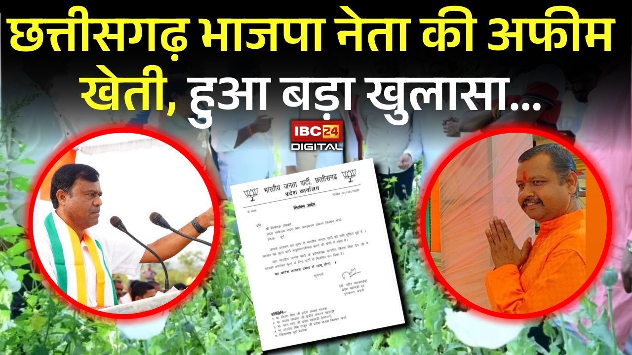 Afeem Kheti in CG: Chhattisgarh भाजपा नेता Vinayak Tamrakar की अफीम खेती, हुआ बड़ा खुलासा… |