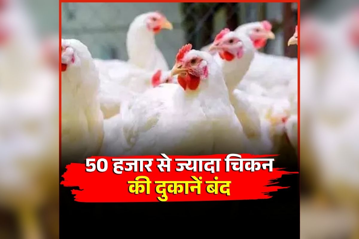 Chicken shops closed: नॉनवेज खाने वालों को बड़ा झटका! पूरे प्रदेशभर में 50 हजार से ज्यादा चिकन की दुकानें बंद, इस वजह से दुकानदारों ने लिया ये फैसला
