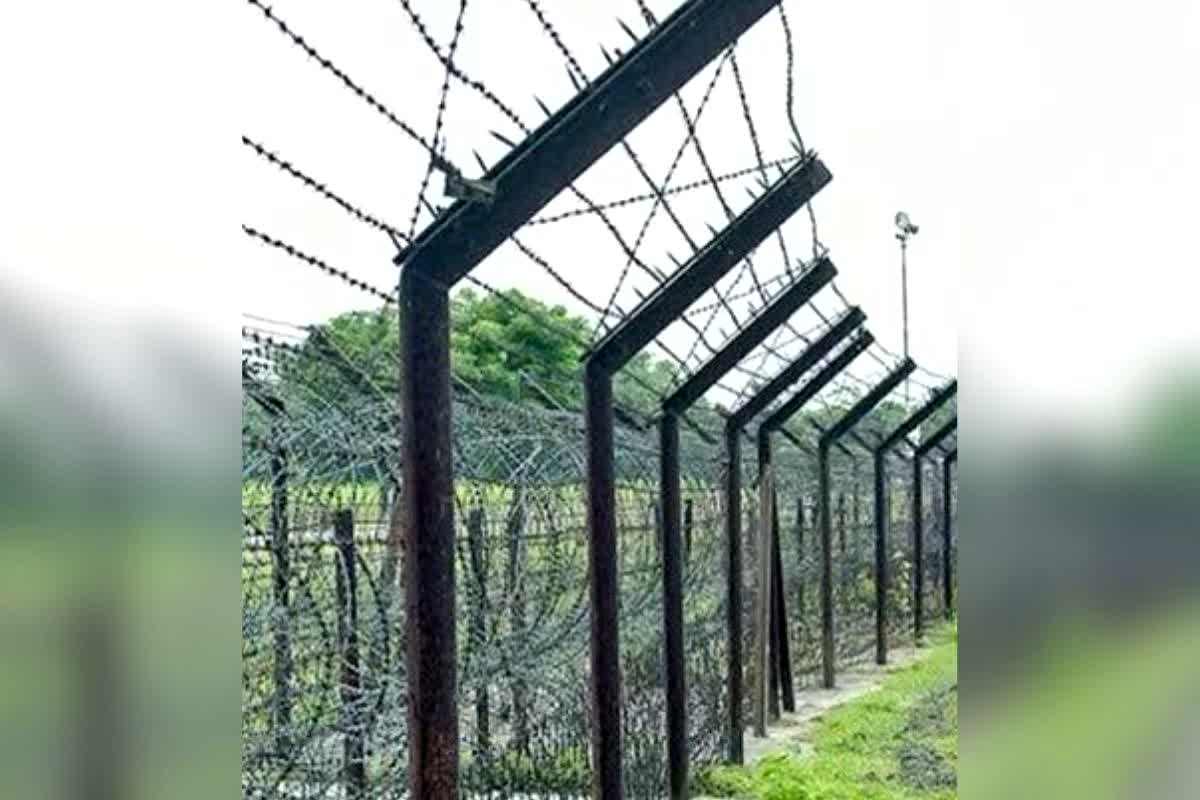 India Bangladesh Border Security: घुसपैठ रोकने के लिए BSF का खतरनाक आइडिया, अब सांप और मगरमच्छ बनेंगे भारत के नए पहरेदार, जानिए कैसे काम करेगा ये अनोखा प्लान